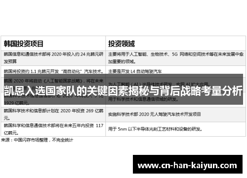 凯恩入选国家队的关键因素揭秘与背后战略考量分析
