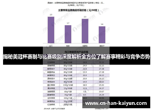 揭秘美冠杯赛制与比赛级别深度解析全方位了解赛事精彩与竞争态势